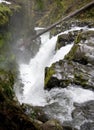 Sol Duc Falls Royalty Free Stock Photo