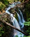 Sol Duc Falls in Olympic National Park Royalty Free Stock Photo