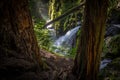 Sol Duc Falls in Olympic National Park