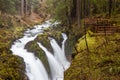 Sol Duc falls, Olympic national park Royalty Free Stock Photo