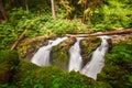 Sol Duc Falls in Olympic National Park, Washington Royalty Free Stock Photo