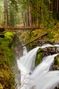 Sol Duc Falls, Olympic National Park, Washington State, USA Royalty Free Stock Photo