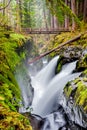 Sol Duc Falls, Olympic National Park, Washington State, USA Royalty Free Stock Photo