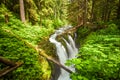 Sol Duc Falls in Olympic National Park, Washington