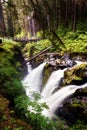 Sol Duc Falls in Olympic National Park Royalty Free Stock Photo
