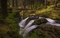 Sol Duc Falls