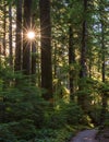 Sol Duc Falls Trail in Olympic NF