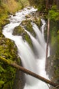 Sol Duc Falls waterfall in Olympic National Park, Washington Royalty Free Stock Photo