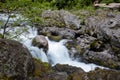 Sol Duc river cascades. Royalty Free Stock Photo