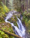 Sol Duc River Falls, Olympic National Park, WA Royalty Free Stock Photo