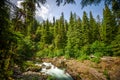 Sol Duc River River in Olympic National Park Royalty Free Stock Photo