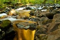 Sol duc Stream Royalty Free Stock Photo