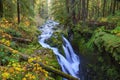 Sol Duc waterfall in Rain Forest