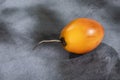 Solanum betaceum - Organic exotic fruit tamarillo