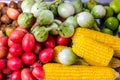 Solanum laciniatum ,Tomato,Corn and Potato.