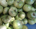 Solanum lycopersicon, Aunt Ruby's German Green