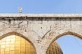 The solar arabic clock on the gate near the Dome of the Rock building on the territory of the interior of the Temple Mount in the