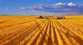 Solar autumn midday in Montana Royalty Free Stock Photo