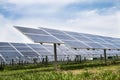 Solar cell panels farm Royalty Free Stock Photo