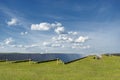 Solar cell panels in a photovoltaic power plant. Renewable energy - alternative electricity source Royalty Free Stock Photo