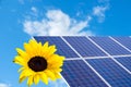 solar cell with sunflower Royalty Free Stock Photo