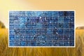 Solar cell on wheat field Royalty Free Stock Photo