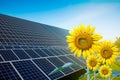 Solar cells with sun flowers in the foreground