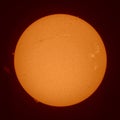 Solar Chromosphere