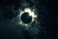 Solar eclipse through leafy treetops. Royalty Free Stock Photo
