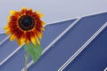 Solar energy Royalty Free Stock Photo
