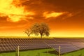 Solar energy panels before trees and sunset sky Royalty Free Stock Photo