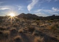 Sunset at Joshua Tree National Park, California Royalty Free Stock Photo