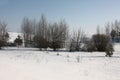 Winter. A coppice on a slope.