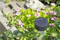 Solar garden light Royalty Free Stock Photo