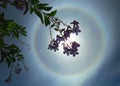 Solar halo Royalty Free Stock Photo