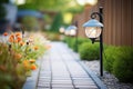 solar landscape lights along a garden path Royalty Free Stock Photo