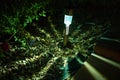 Solar (LED) garden lamp at night. Royalty Free Stock Photo