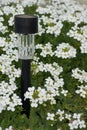 Solar light and Flowers