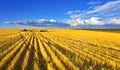 Solar midday on fields of Montana Royalty Free Stock Photo