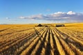 Solar midday on fields of Montana Royalty Free Stock Photo