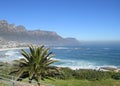 The solar ocean coast with palm trees Royalty Free Stock Photo