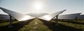 Solar Panel Array at Dawn Royalty Free Stock Photo