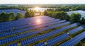 Solar Panel Array in Green Field at Sunset Royalty Free Stock Photo