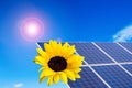 Solar Panel Energy with Sunflower Royalty Free Stock Photo