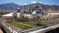 A solar panel farm in the desert