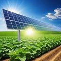 solar panel with green agriculture and energy technology