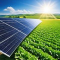 solar panel with green agriculture and energy technology