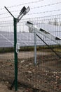 Solar panel. Solar panels installed in a rural area. Solar power plant in a field. Royalty Free Stock Photo