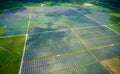 Solar Panel Power Plant Aerial Drone view WebberVille , Texas , USA
