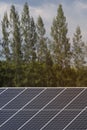 Solar panel or solars cells arrangement for green and clean future power source generation prevent global warming situation Royalty Free Stock Photo